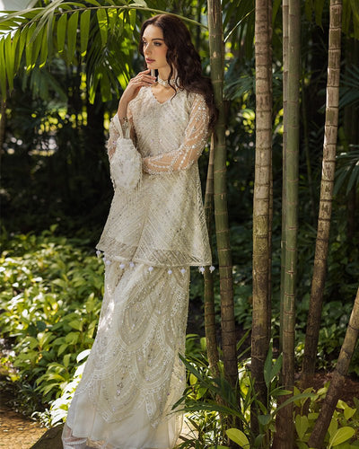 Ain | Cascade Party Wears | AN-99-Brand:Ain-Type:Ladies Clothes-Ivory-Net-House of Maryam- Buy in UK, USA