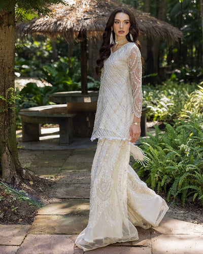 Ain | Cascade Party Wears | AN-99-Brand:Ain-Type:Ladies Clothes-Ivory-Net-House of Maryam- Buy in UK, USA