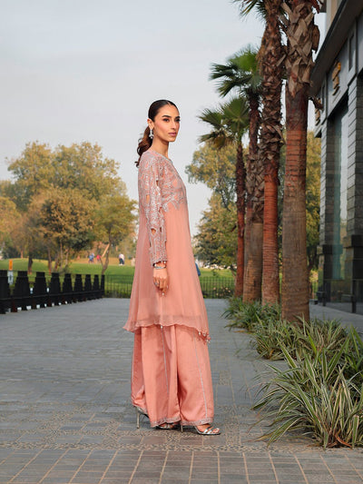Ain | Raya Luxury Formals | AN-130 SPINAL-Brand:Ain-Type:Ladies Clothes-Peach Pink-Chiffon-House of Maryam- Buy in UK, USA