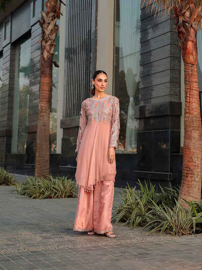 Ain | Raya Luxury Formals | AN-130 SPINAL-Brand:Ain-Type:Ladies Clothes-Peach Pink-Chiffon-House of Maryam- Buy in UK, USA