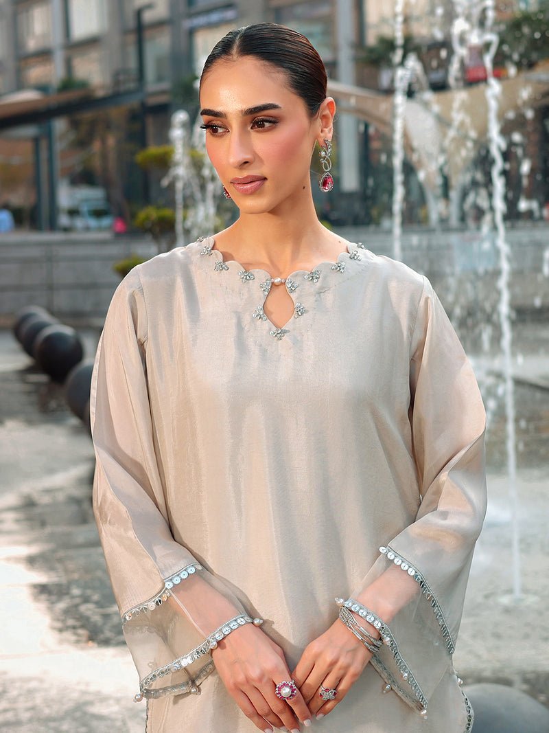 Ain | Raya Luxury Formals | AN-166 ZIRCON-Brand:Ain-Type:Ladies Clothes-Silver Gray-Silk-House of Maryam- Buy in UK, USA