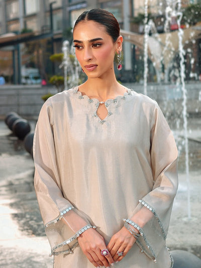 Ain | Raya Luxury Formals | AN-166 ZIRCON-Brand:Ain-Type:Ladies Clothes-Silver Gray-Silk-House of Maryam- Buy in UK, USA