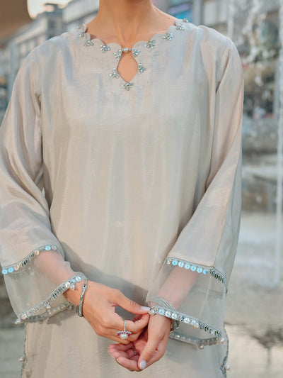 Ain | Raya Luxury Formals | AN-166 ZIRCON-Brand:Ain-Type:Ladies Clothes-Silver Gray-Silk-House of Maryam- Buy in UK, USA