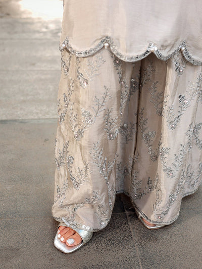 Ain | Raya Luxury Formals | AN-166 ZIRCON-Brand:Ain-Type:Ladies Clothes-Silver Gray-Silk-House of Maryam- Buy in UK, USA