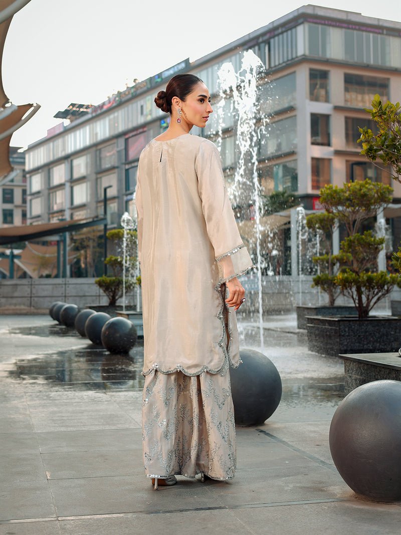 Ain | Raya Luxury Formals | AN-166 ZIRCON-Brand:Ain-Type:Ladies Clothes-Silver Gray-Silk-House of Maryam- Buy in UK, USA
