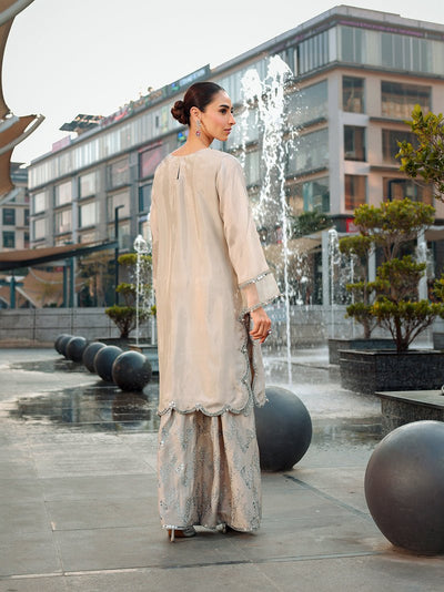 Ain | Raya Luxury Formals | AN-166 ZIRCON-Brand:Ain-Type:Ladies Clothes-Silver Gray-Silk-House of Maryam- Buy in UK, USA