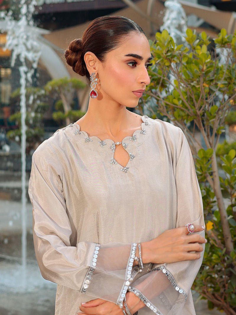 Ain | Raya Luxury Formals | AN-166 ZIRCON-Brand:Ain-Type:Ladies Clothes-Silver Gray-Silk-House of Maryam- Buy in UK, USA