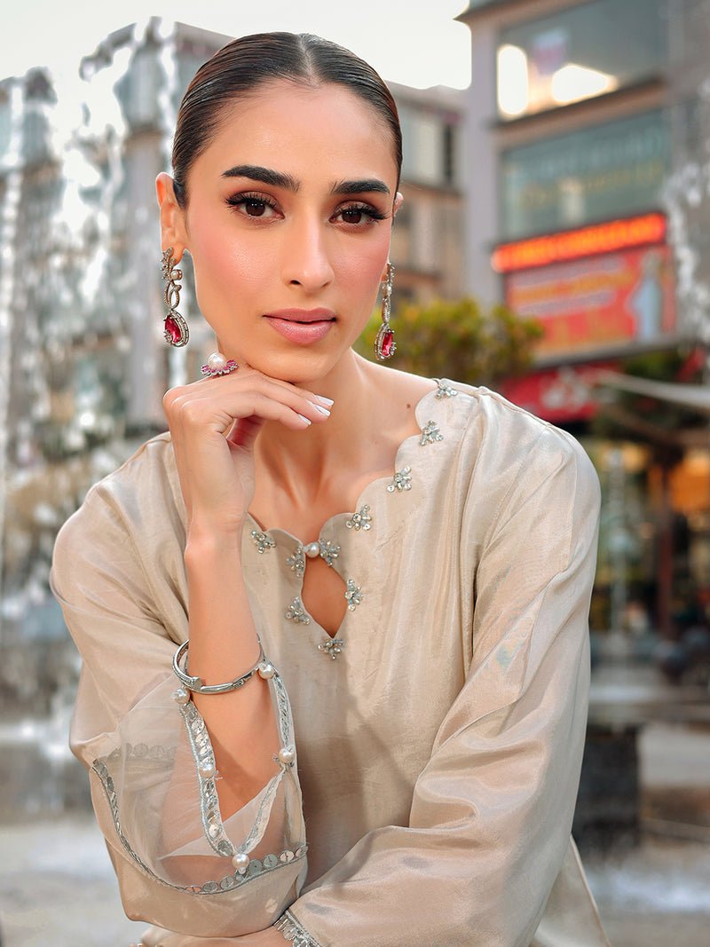 Ain | Raya Luxury Formals | AN-166 ZIRCON-Brand:Ain-Type:Ladies Clothes-Silver Gray-Silk-House of Maryam- Buy in UK, USA