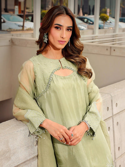 Ain | Raya Luxury Formals | AN-170 BERYL-Brand:Ain-Type:Luxury-Mint Green-Silk-House of Maryam- Buy in UK, USA