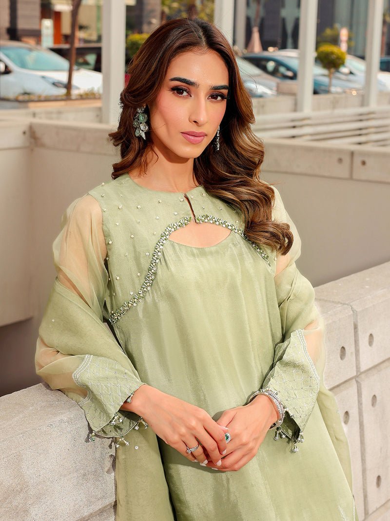 Ain | Raya Luxury Formals | AN-170 BERYL-Brand:Ain-Type:Luxury-Mint Green-Silk-House of Maryam- Buy in UK, USA
