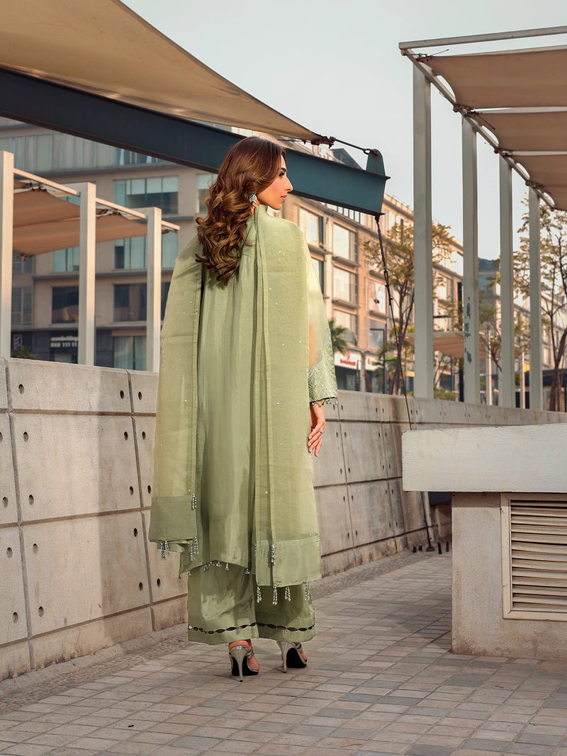 Ain | Raya Luxury Formals | AN-170 BERYL-Brand:Ain-Type:Luxury-Mint Green-Silk-House of Maryam- Buy in UK, USA