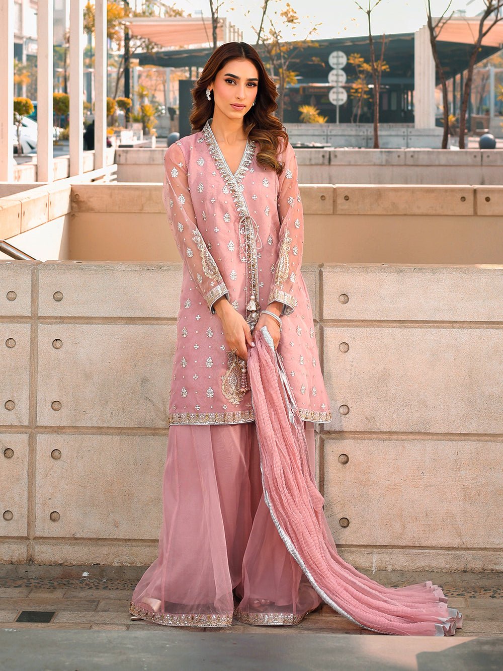 Ain | Raya Luxury Formals | AN-175 OPAL-Brand:Ain-Type:Ladies Clothes-Pink-Organza-House of Maryam- Buy in UK, USA