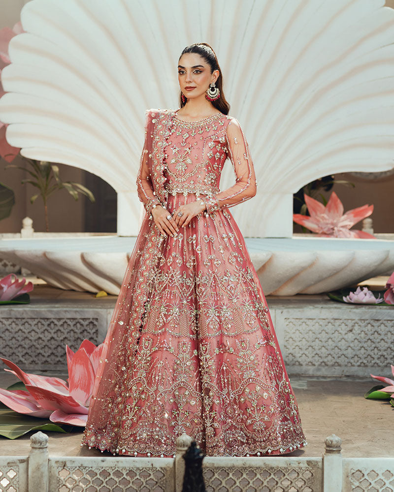 Ain | Naulakha Wedding Festive 24 | AR-142 ZORA -  Ain Ladies Clothes - Original Designer Dress - House of Maryam