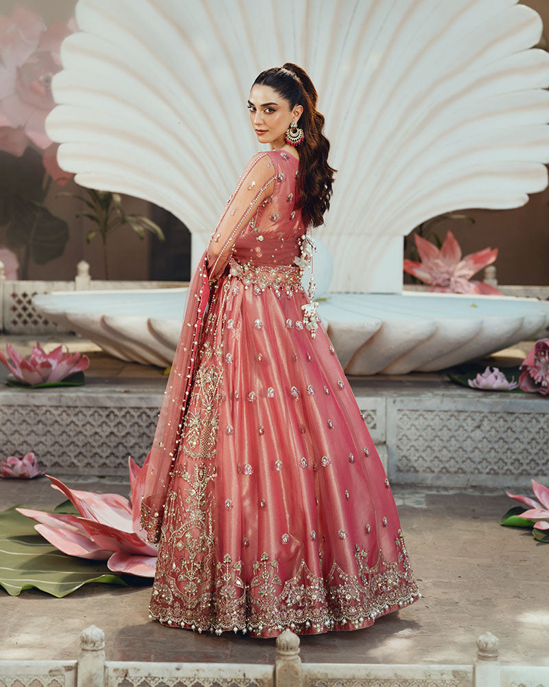 Ain | Naulakha Wedding Festive 24 | AR-142 ZORA -  Ain Ladies Clothes - Original Designer Dress - House of Maryam