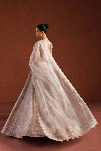 Akbar Aslam | Luxury Formals | Willow-Brand:Akbar Aslam-Type:Ladies Clothes-Lavender Pinocchio-Organza-House of Maryam- Buy in UK, USA