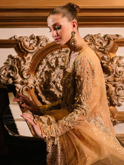 Parishay | Cindrella Luxury Formals | AMBRE -  Parishay Bridal - Original Designer Dress - House of Maryam