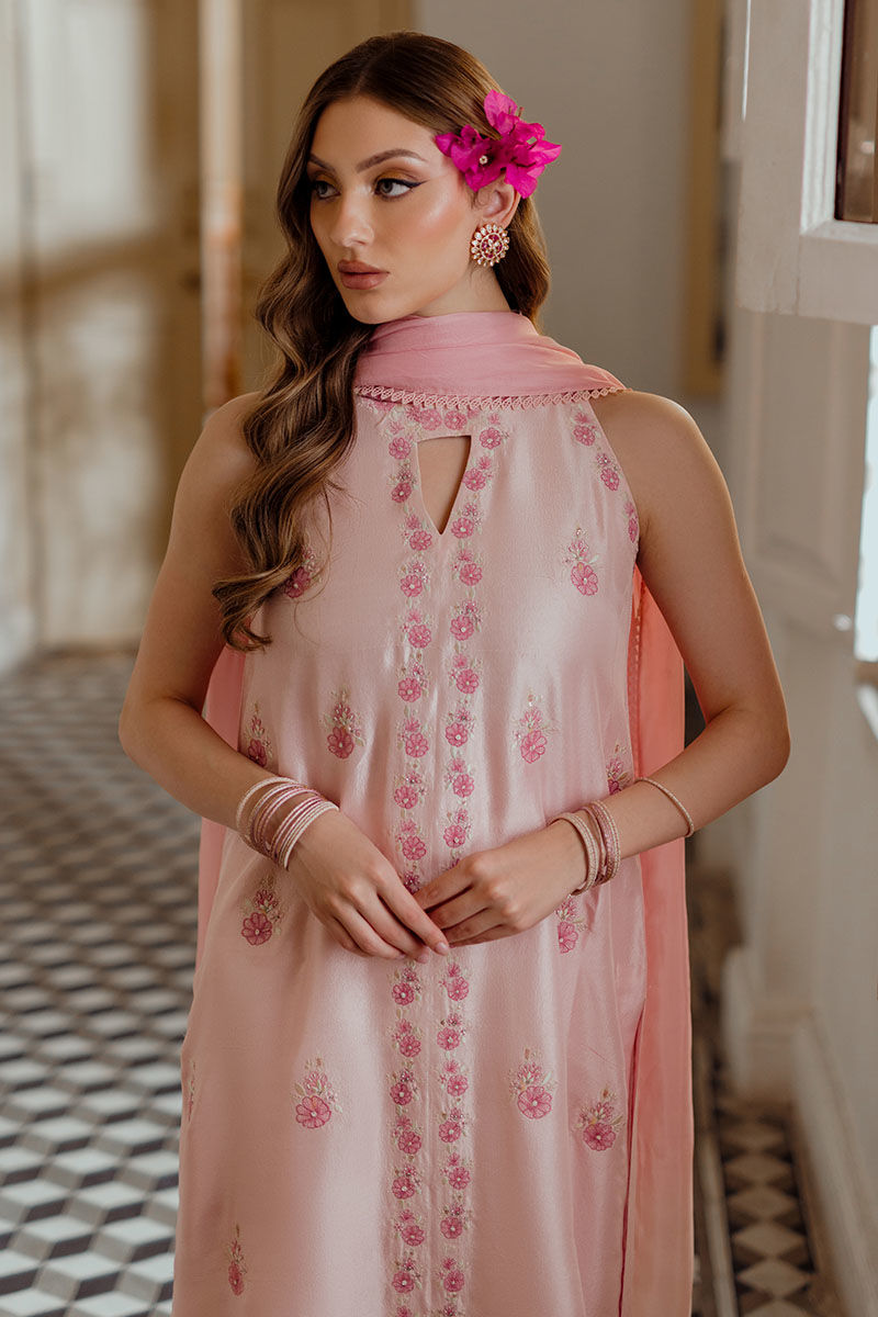 Ansab Jahangir | Luxe Pret Eid 24 | HEMAYAL by Designer Ansab Jahangir - House of Maryam - Pakistani Designer Ethnic Wear in {{ shop.shopifyCountryName }}