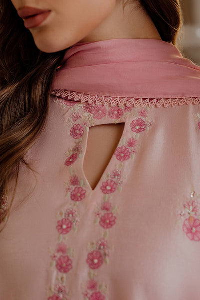 Ansab Jahangir | Luxe Pret Eid 24 | HEMAYAL -  Ansab Jahangir Formal - Original Designer Dress - House of Maryam