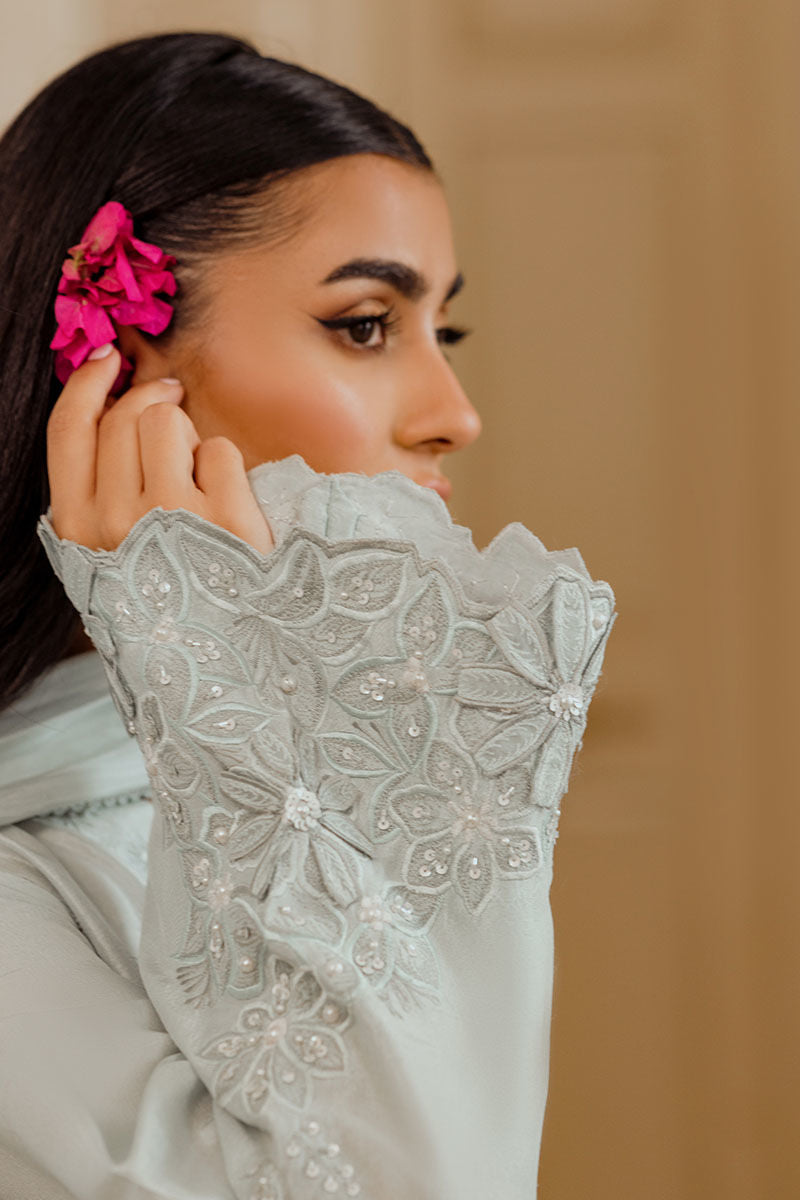 Ansab Jahangir | Luxe Pret Eid 24 | DAANAYA -  Ansab Jahangir Formal - Original Designer Dress - House of Maryam
