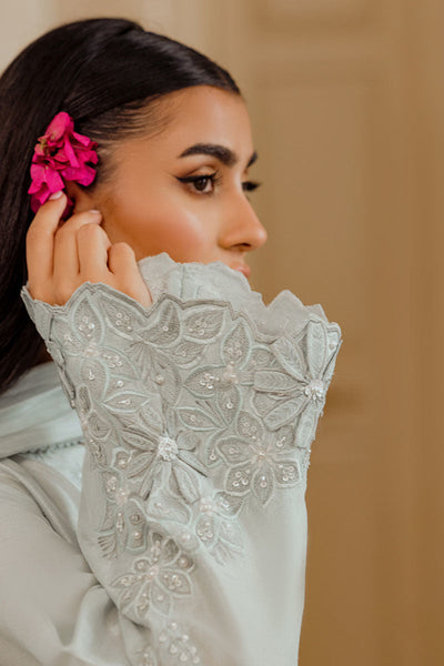 Ansab Jahangir | Luxe Pret Eid 24 | DAANAYA -  Ansab Jahangir Formal - Original Designer Dress - House of Maryam