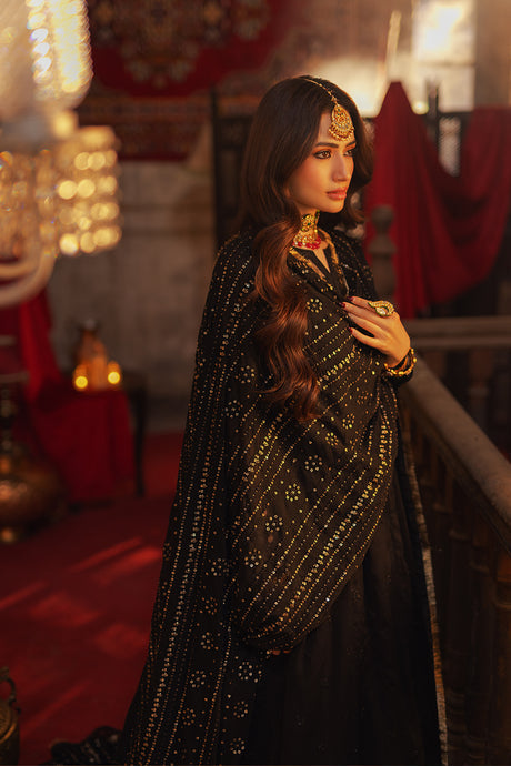 Azure | Ensembles Embroidered Formals | Noir Majesty by Azure - House of Maryam