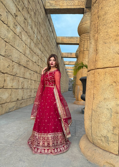 Daud Abbas | Formals Collection | Nazneen -  Daud Abbas Formal - Original Designer Dress - House of Maryam