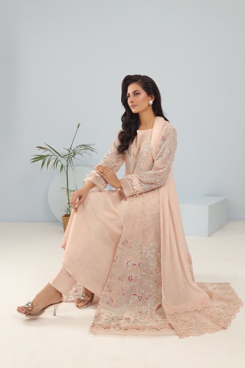 Panache | Pret | Blush Grandeur -  Panache By Mona clothing - Original Designer Dress - House of Maryam