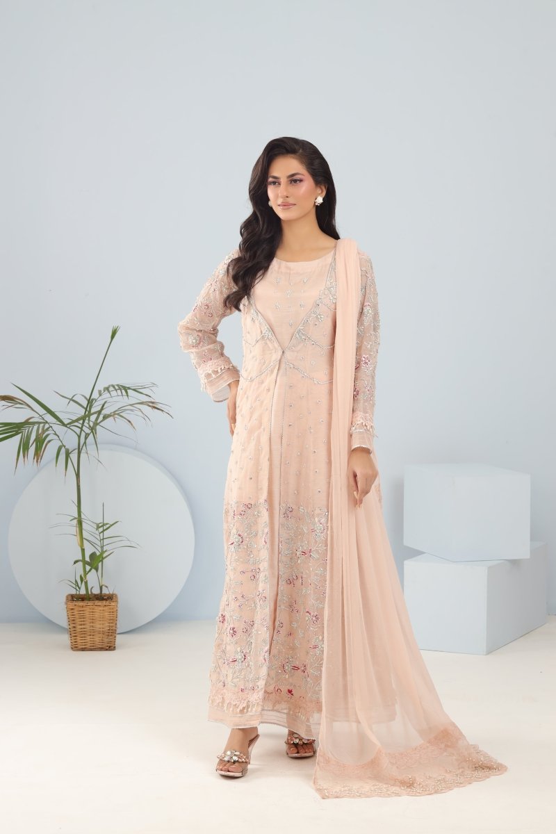 Panache | Pret | Blush Grandeur -  Panache By Mona clothing - Original Designer Dress - House of Maryam