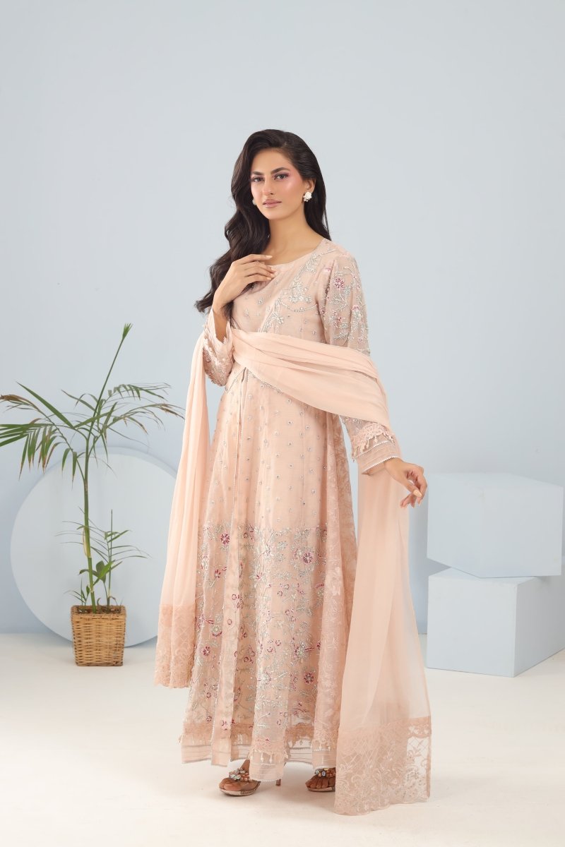 Panache | Pret | Blush Grandeur -  Panache By Mona clothing - Original Designer Dress - House of Maryam