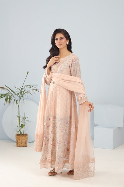 Panache | Pret | Blush Grandeur -  Panache By Mona clothing - Original Designer Dress - House of Maryam