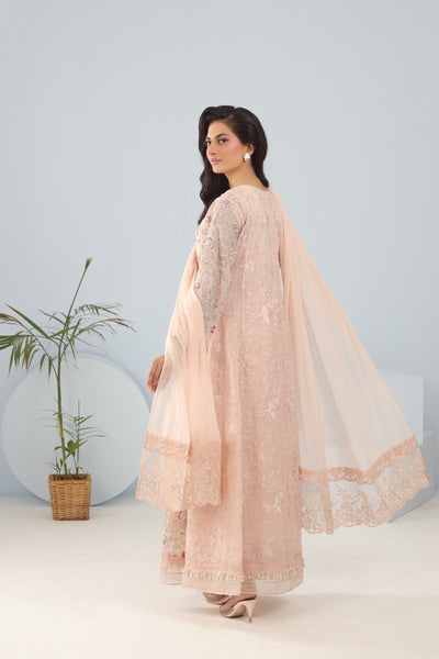 Panache | Pret | Blush Grandeur -  Panache By Mona clothing - Original Designer Dress - House of Maryam
