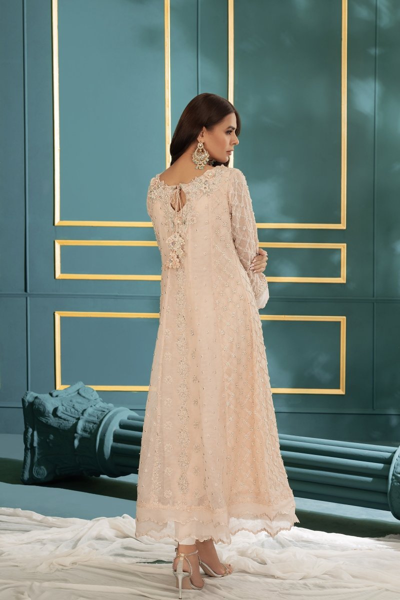 Panache | Pret | Blushing Breeze -  Panache By Mona  - Original Designer Dress - House of Maryam