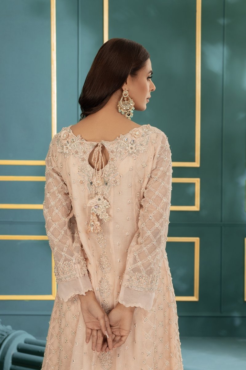 Panache | Pret | Blushing Breeze -  Panache By Mona  - Original Designer Dress - House of Maryam