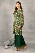 Kayseria | Winter Khaddar 24 | C6010-1 -  Kayseria Ladies Clothes -  House of Maryam
