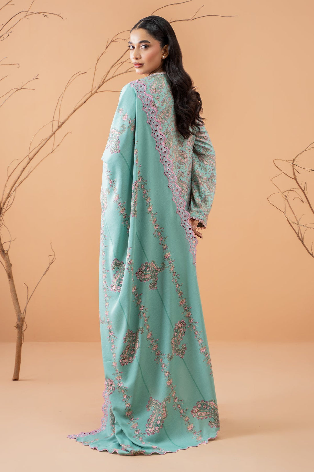 Kayseria | Winter Khaddar 24 | C6072-1