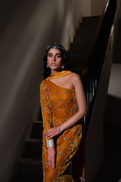 Caia | Luxury Velvet Edit 25 | Amber-Brand:Caia-Type:Ladies Clothes-Dull Orange-Velvet-House of Maryam- Buy in UK, USA