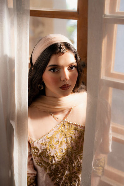 Caia | Luxury Velvet Edit 25 | Roselle (Pink)-Brand:Caia-Type:Ladies Clothes-Peach Pink-Velvet-House of Maryam- Buy in UK, USA