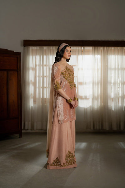 Caia | Luxury Velvet Edit 25 | Roselle (Pink)-Brand:Caia-Type:Ladies Clothes-Peach Pink-Velvet-House of Maryam- Buy in UK, USA