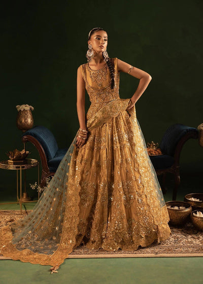 Diara Couture | Onora Wedding Festive | RYEAN - WC-2-05 -  Diara Couture Ladies Clothes - Original Designer Dress - House of Maryam