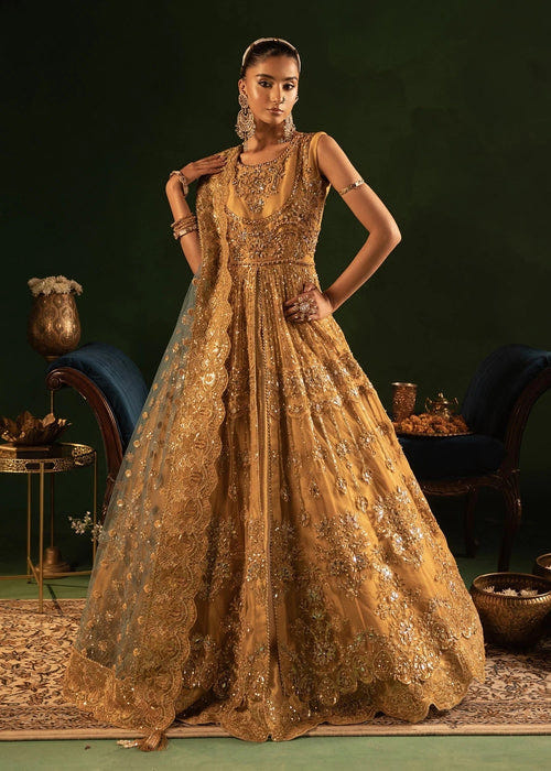 Diara Couture | Onora Wedding Festive | RYEAN - WC-2-05 -  Diara Couture Ladies Clothes - Original Designer Dress - House of Maryam
