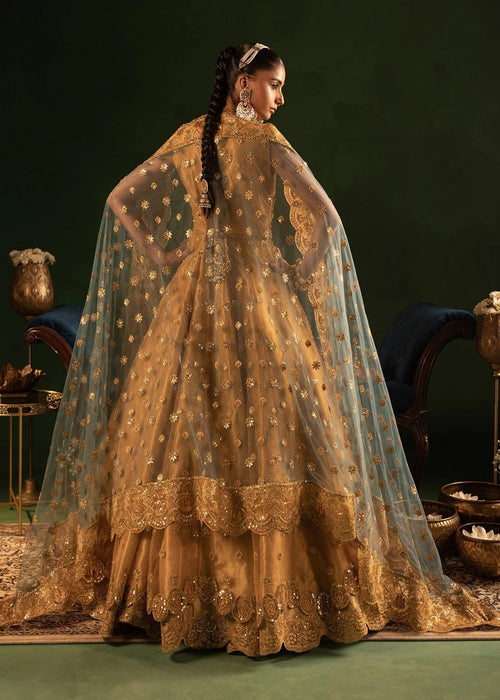 Diara Couture | Onora Wedding Festive | RYEAN - WC-2-05 -  Diara Couture Ladies Clothes - Original Designer Dress - House of Maryam