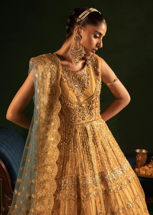 Diara Couture | Onora Wedding Festive | RYEAN - WC-2-05 -  Diara Couture Ladies Clothes - Original Designer Dress - House of Maryam