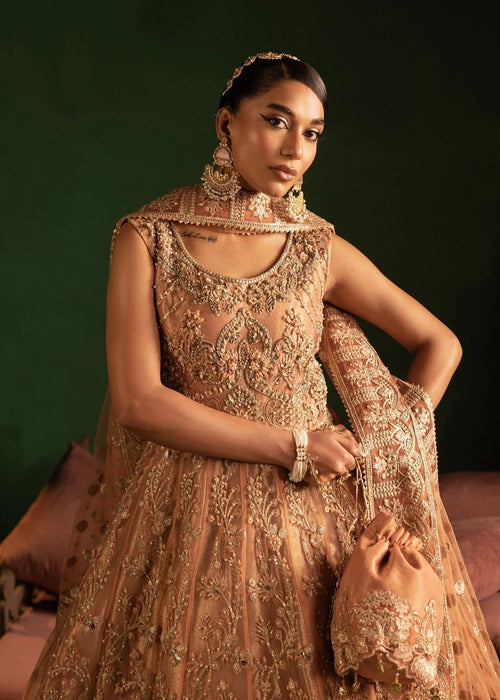 Diara Couture | Onora Wedding Festive | AYLA - WC-2-06 -  Diara Couture Ladies Clothes - Original Designer Dress - House of Maryam