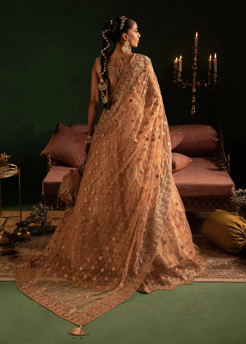 Diara Couture | Onora Wedding Festive | AYLA - WC-2-06