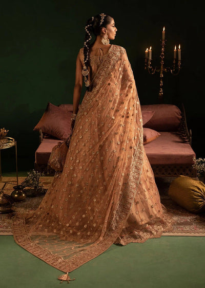 Diara Couture | Onora Wedding Festive | AYLA - WC-2-06 -  Diara Couture Ladies Clothes - Original Designer Dress - House of Maryam