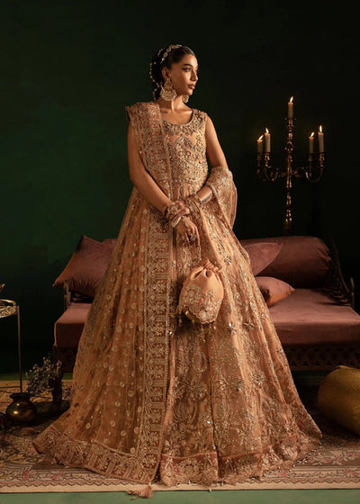 Diara Couture | Onora Wedding Festive | AYLA - WC-2-06 -  Diara Couture Ladies Clothes - Original Designer Dress - House of Maryam