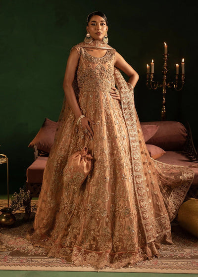 Diara Couture | Onora Wedding Festive | AYLA - WC-2-06 -  Diara Couture Ladies Clothes - Original Designer Dress - House of Maryam