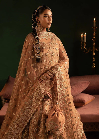 Diara Couture | Onora Wedding Festive | AYLA - WC-2-06 -  Diara Couture Ladies Clothes - Original Designer Dress - House of Maryam
