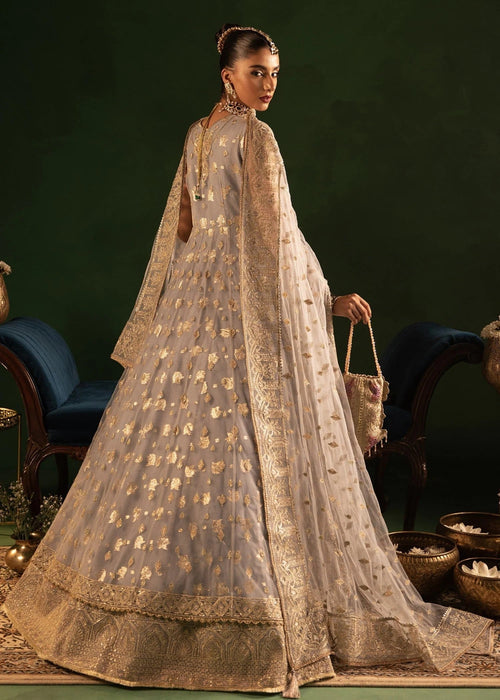 Diara Couture | Onora Wedding Festive | SEREIA - WC-2-09 -  Diara Couture Ladies Clothes - Original Designer Dress - House of Maryam