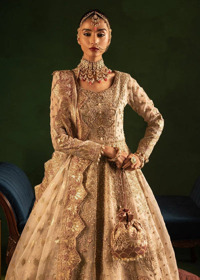 Diara Couture | Onora Wedding Festive | BELLA - WC-2-02 -  Diara Couture Ladies Clothes - Original Designer Dress - House of Maryam